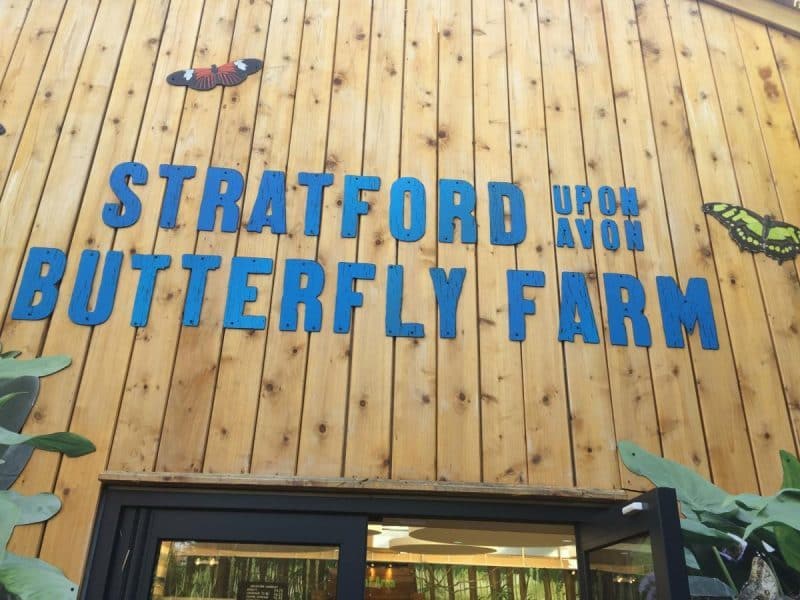 Stratford upon Avon Butterfly Farm