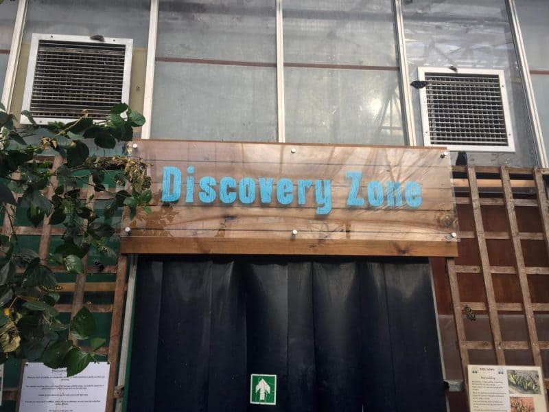 Stratford upon Avon Butterfly Farm