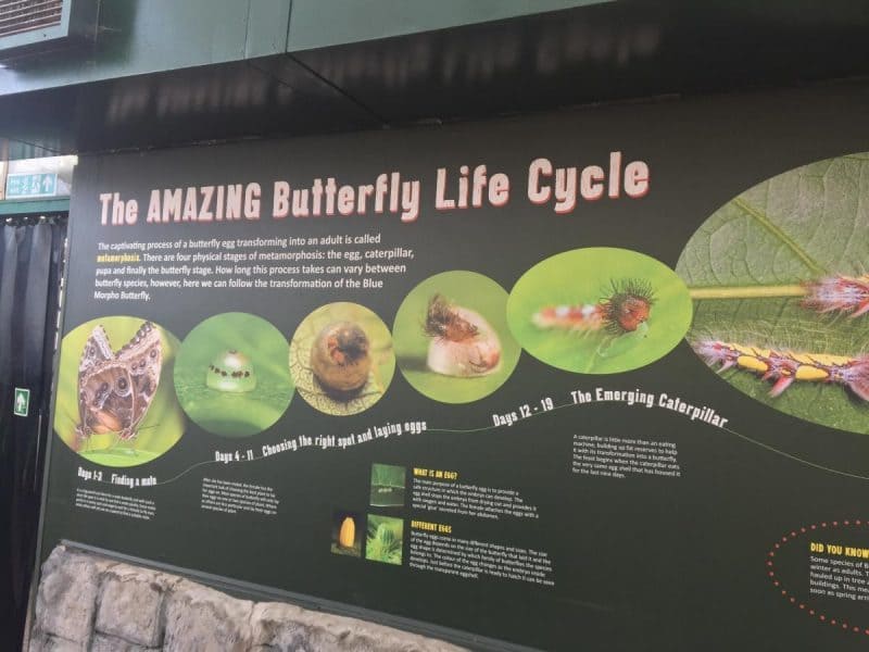 Stratford upon Avon Butterfly Farm