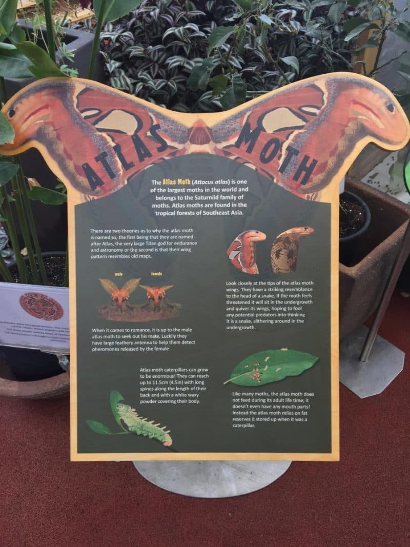 Stratford upon Avon Butterfly Farm