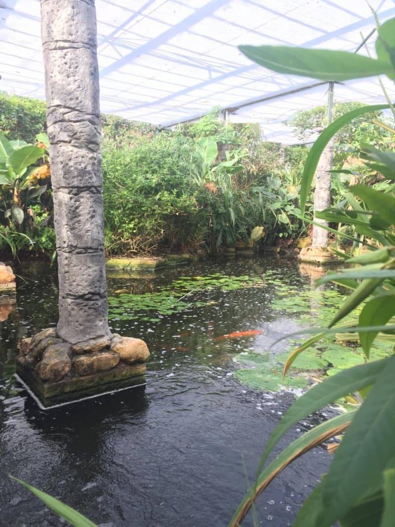 Stratford upon Avon Butterfly Farm