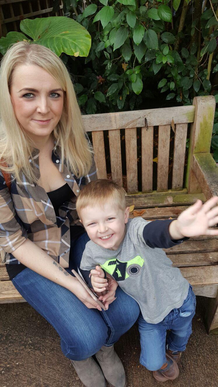 Stratford upon Avon Butterfly Farm