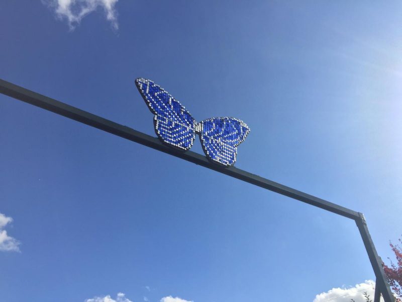 Stratford upon Avon Butterfly Farm