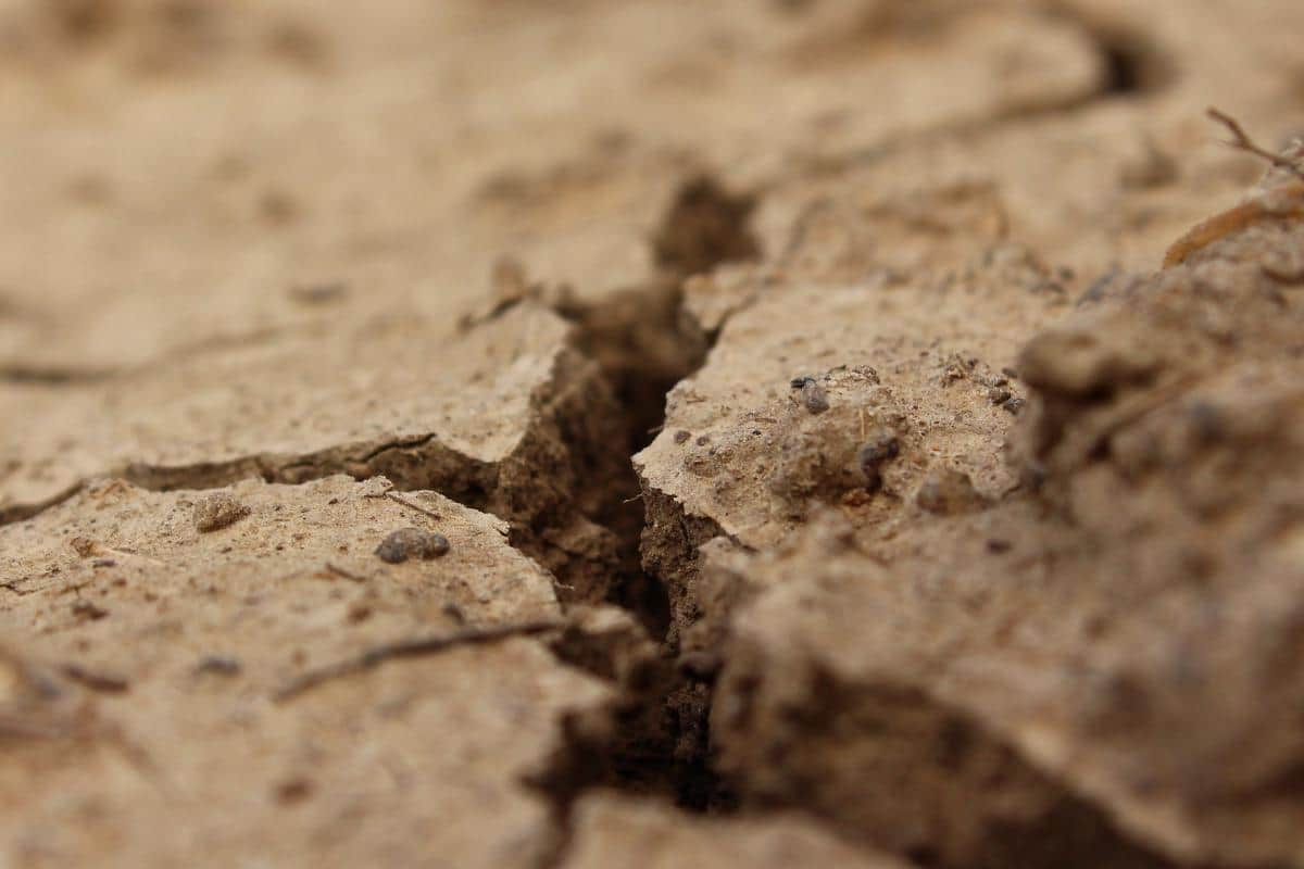 Guiding Children Through Difficult Times