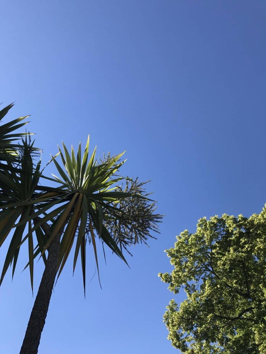 Isle of Wight, I Love You