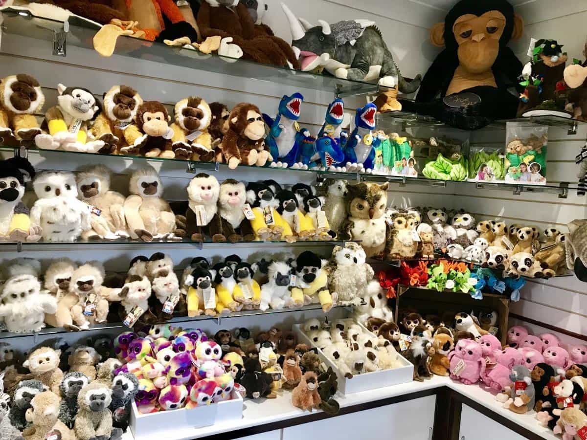 The Isle Of Wight Monkey Haven