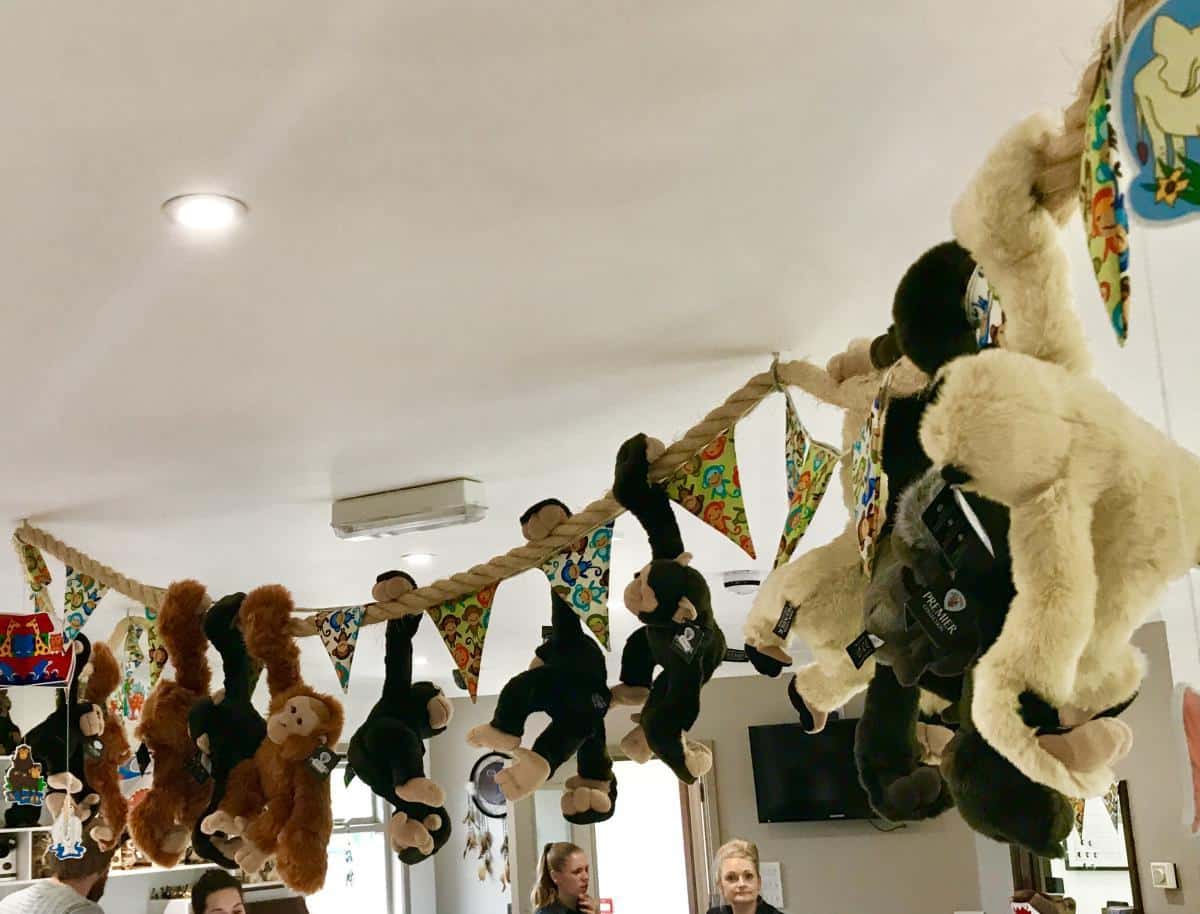 The Isle Of Wight Monkey Haven