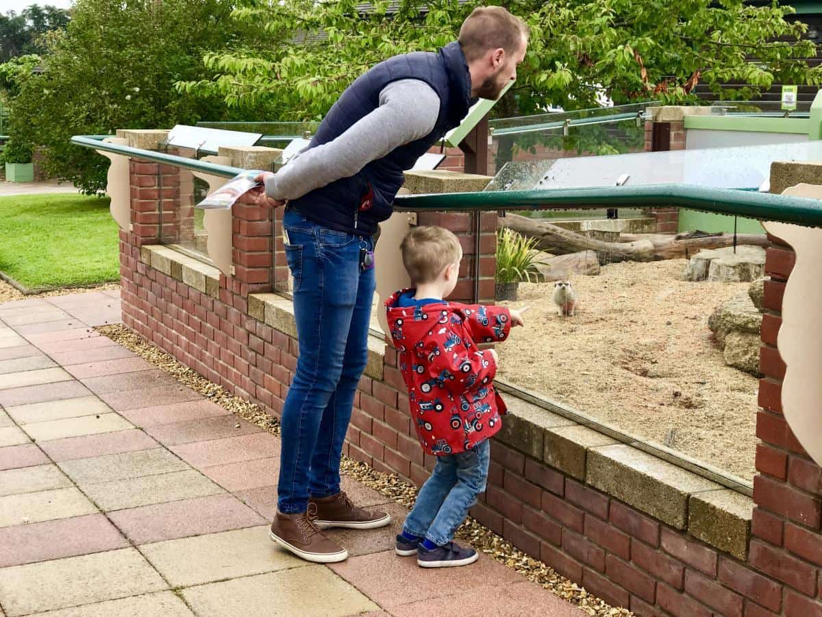 The Isle Of Wight Monkey Haven