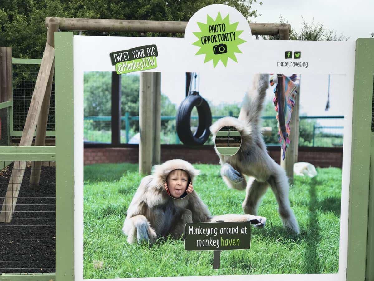 The Isle Of Wight Monkey Haven