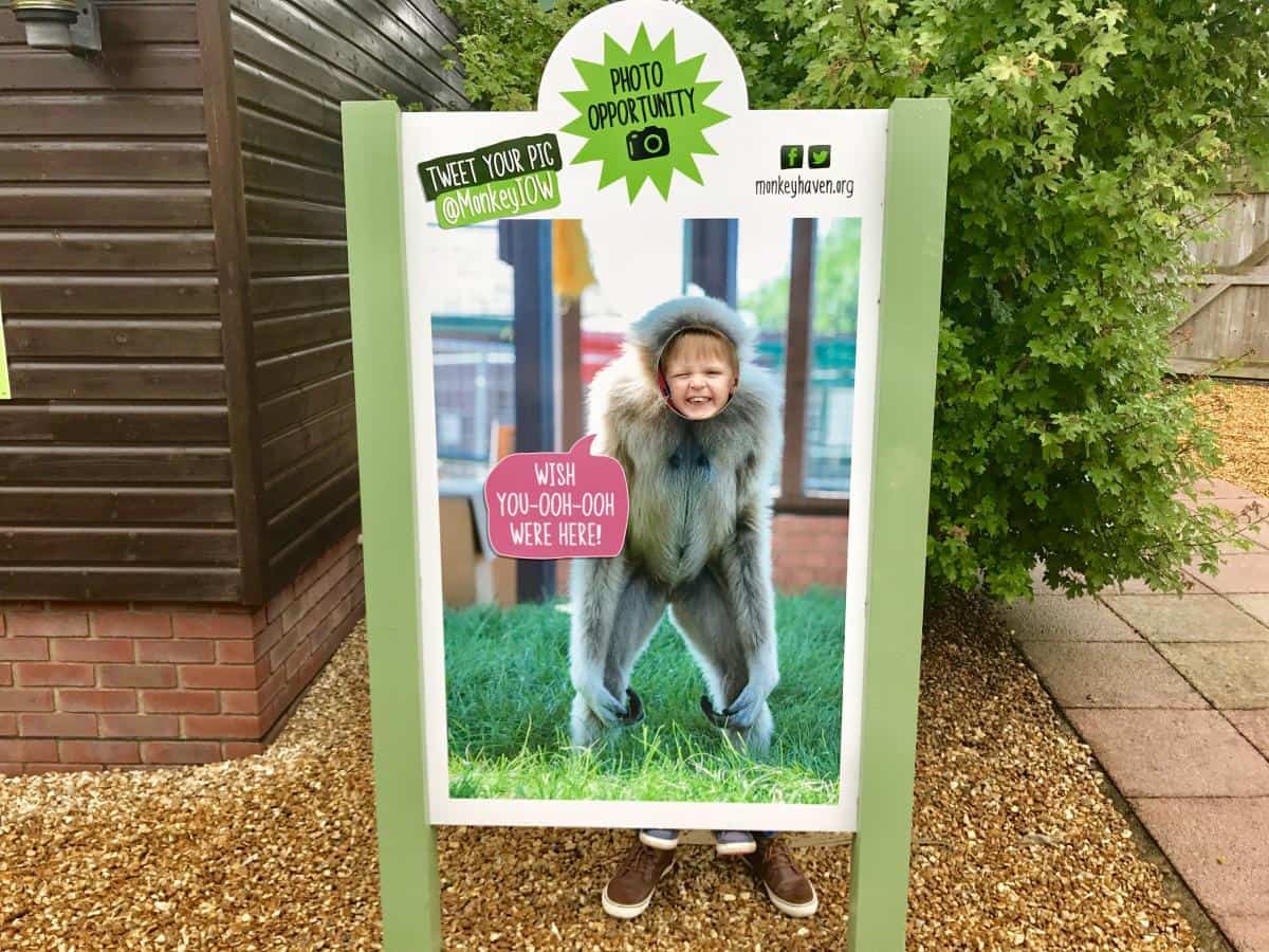 The Isle Of Wight Monkey Haven
