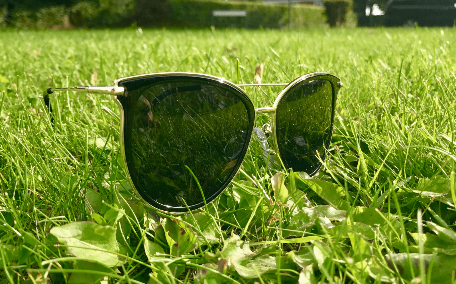 glasses online