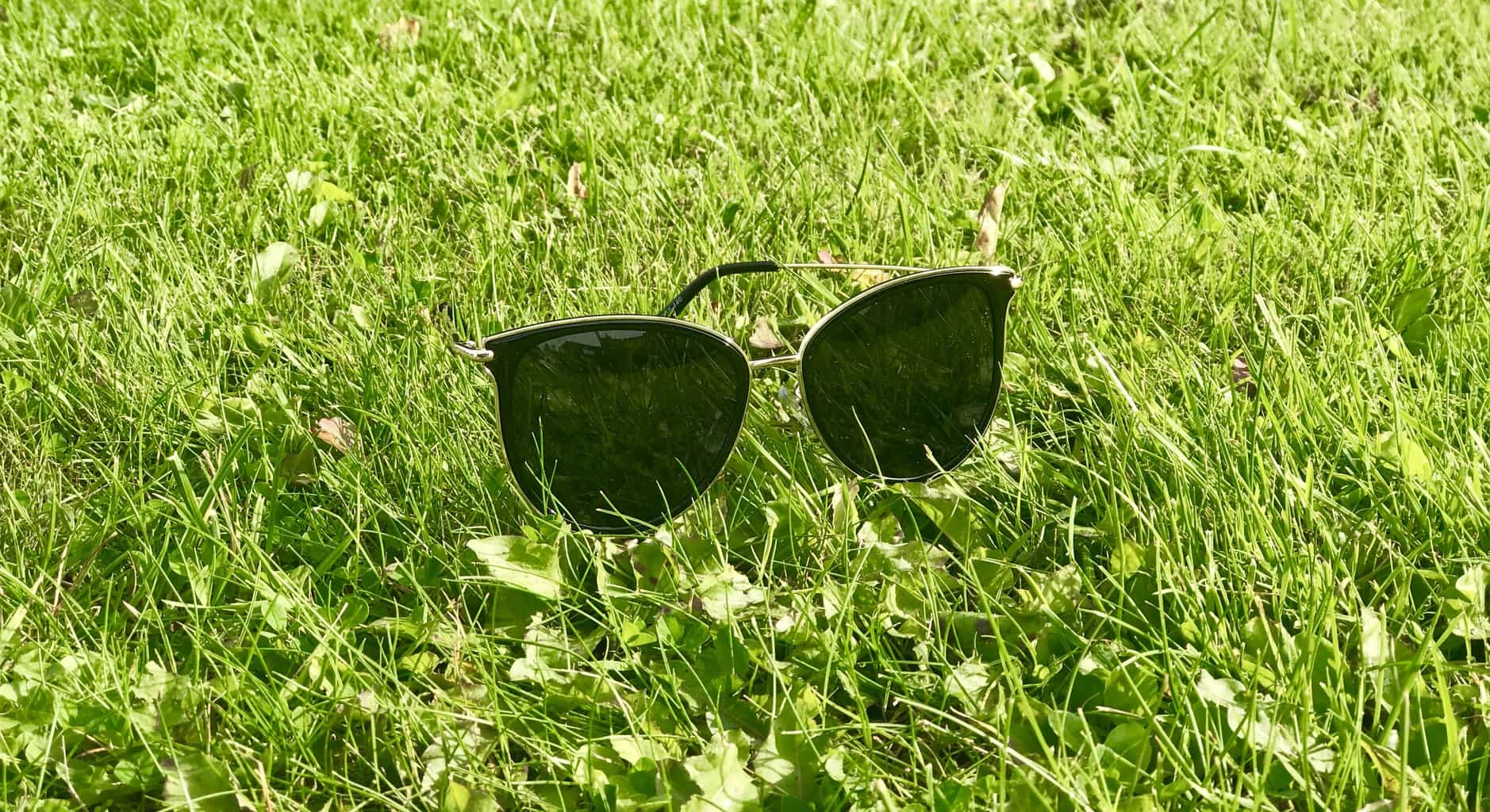 glasses online