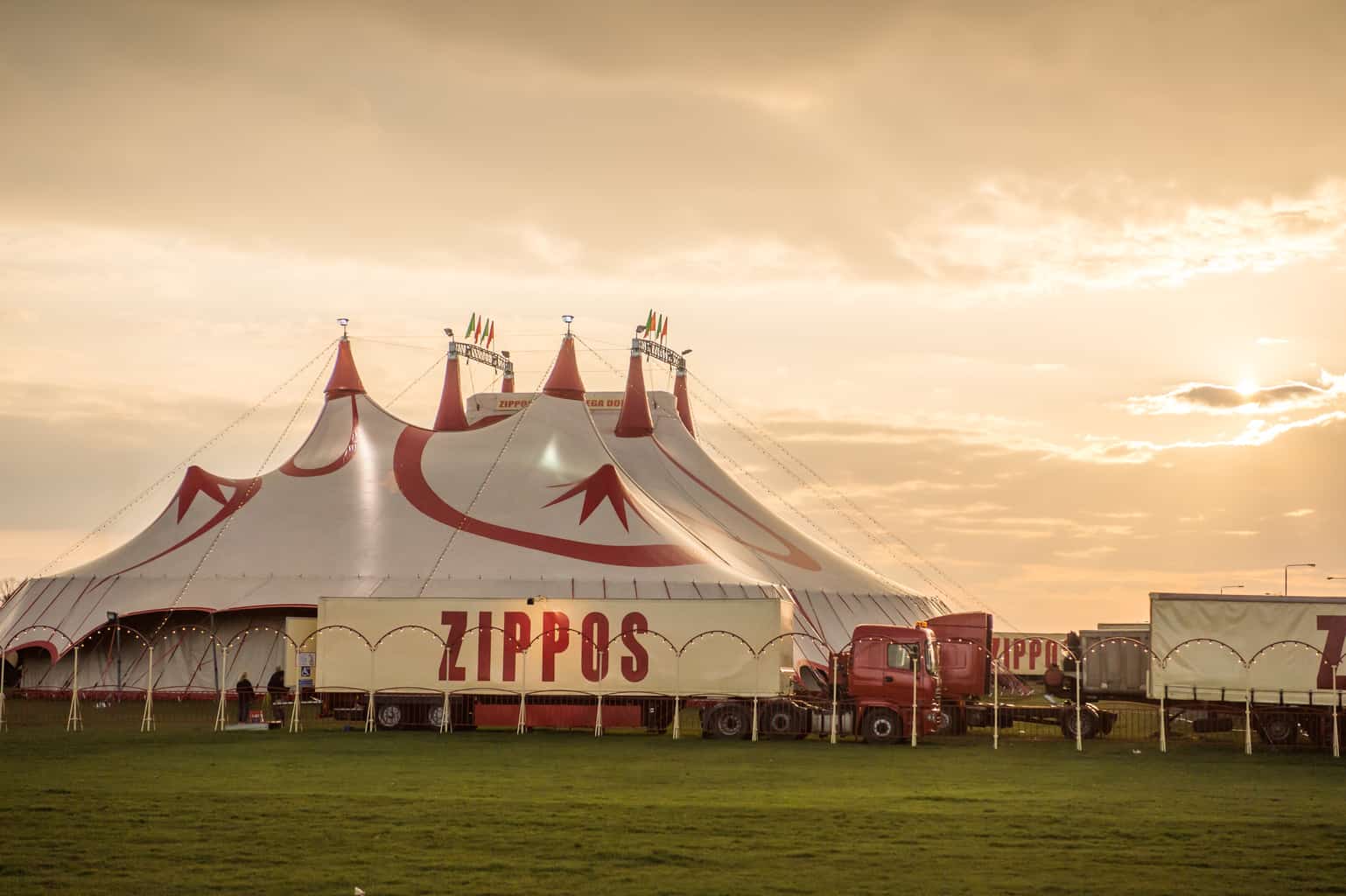 An Afternoon At Zippo's Circus