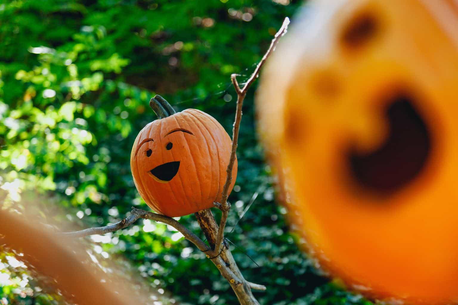 Photo by Dan Gold on Unsplash