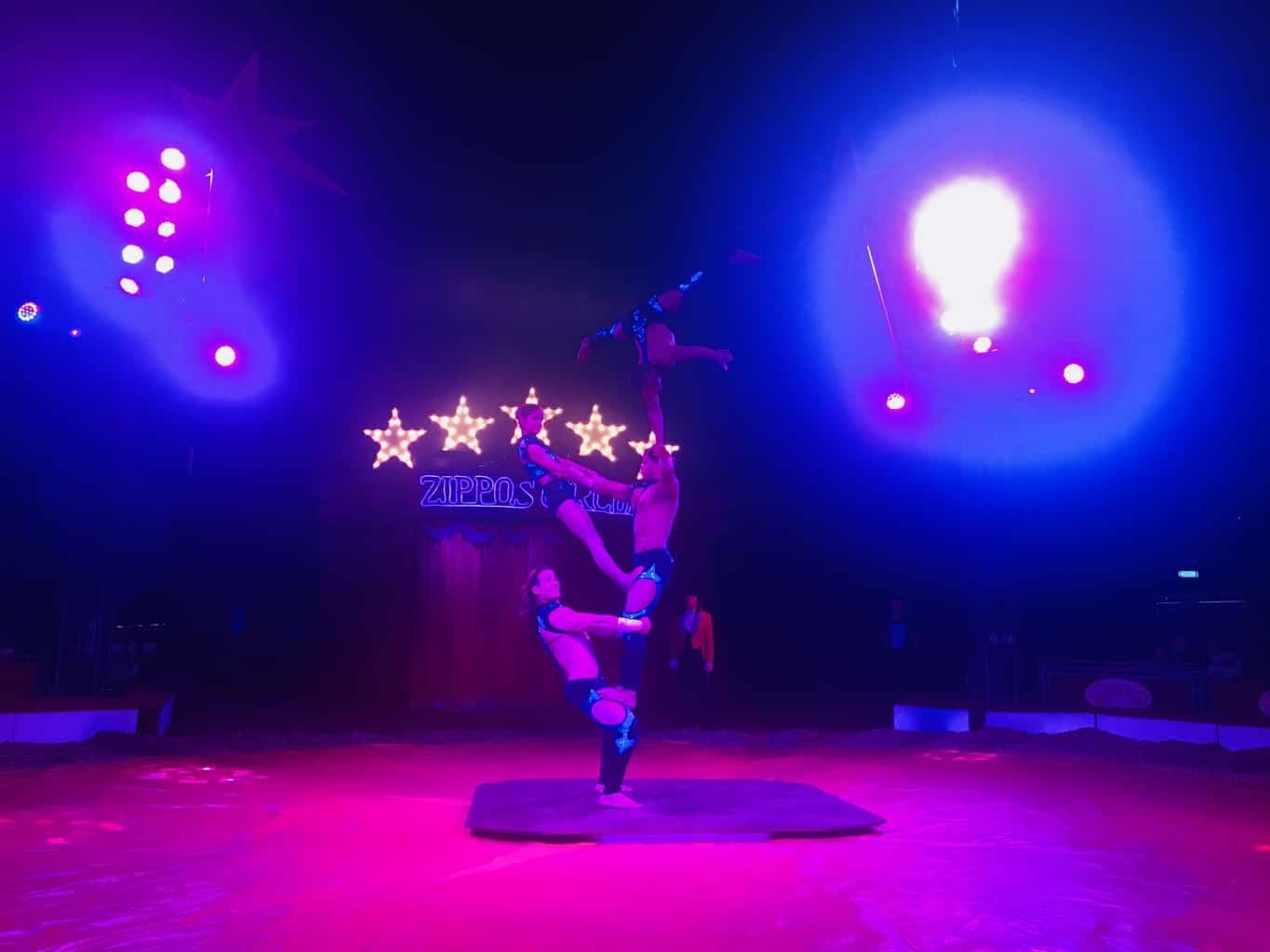 An Afternoon At Zippo's Circus