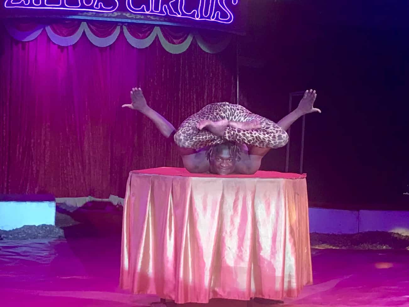 An Afternoon At Zippo's Circus