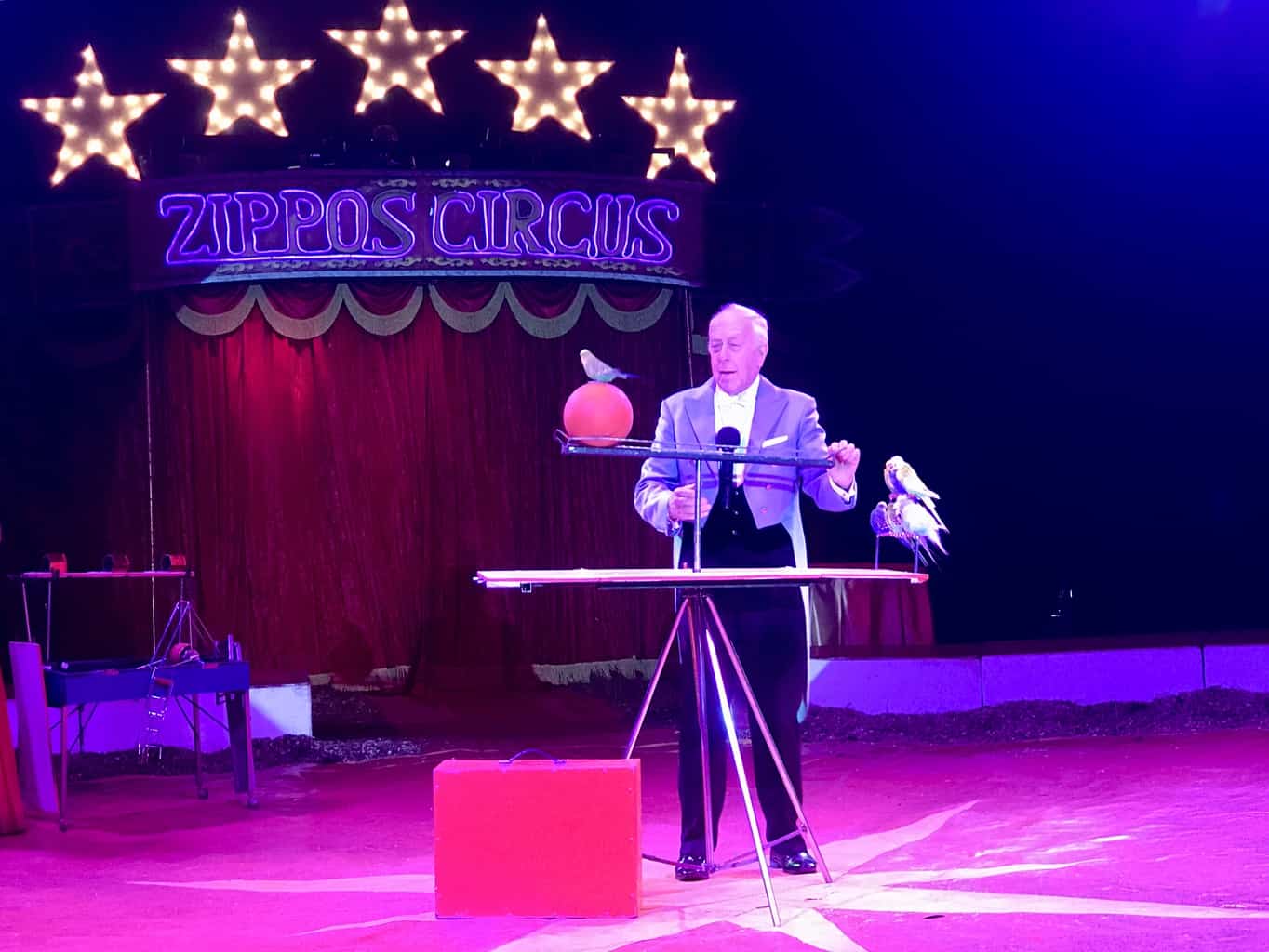 An Afternoon At Zippo's Circus