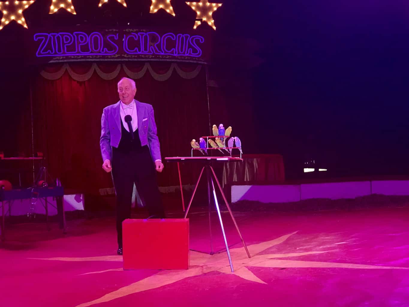 An Afternoon At Zippo's Circus
