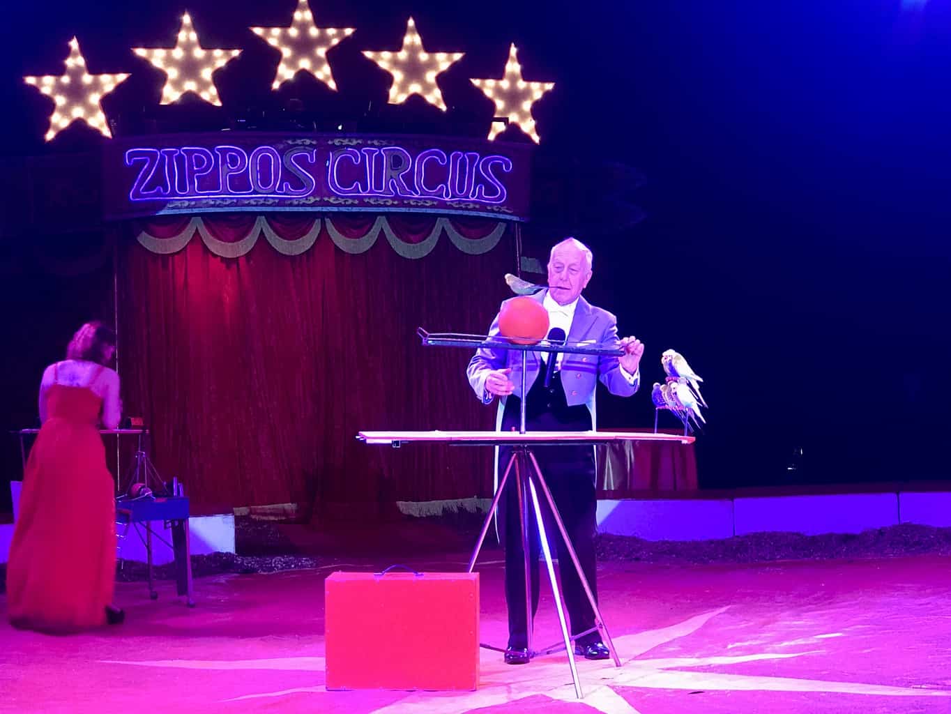 An Afternoon At Zippo's Circus