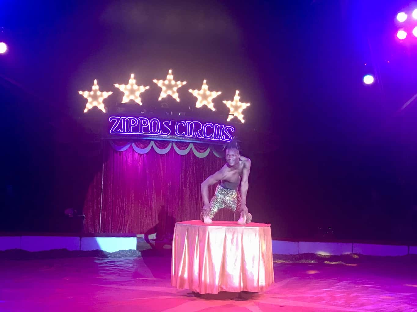 An Afternoon At Zippo's Circus