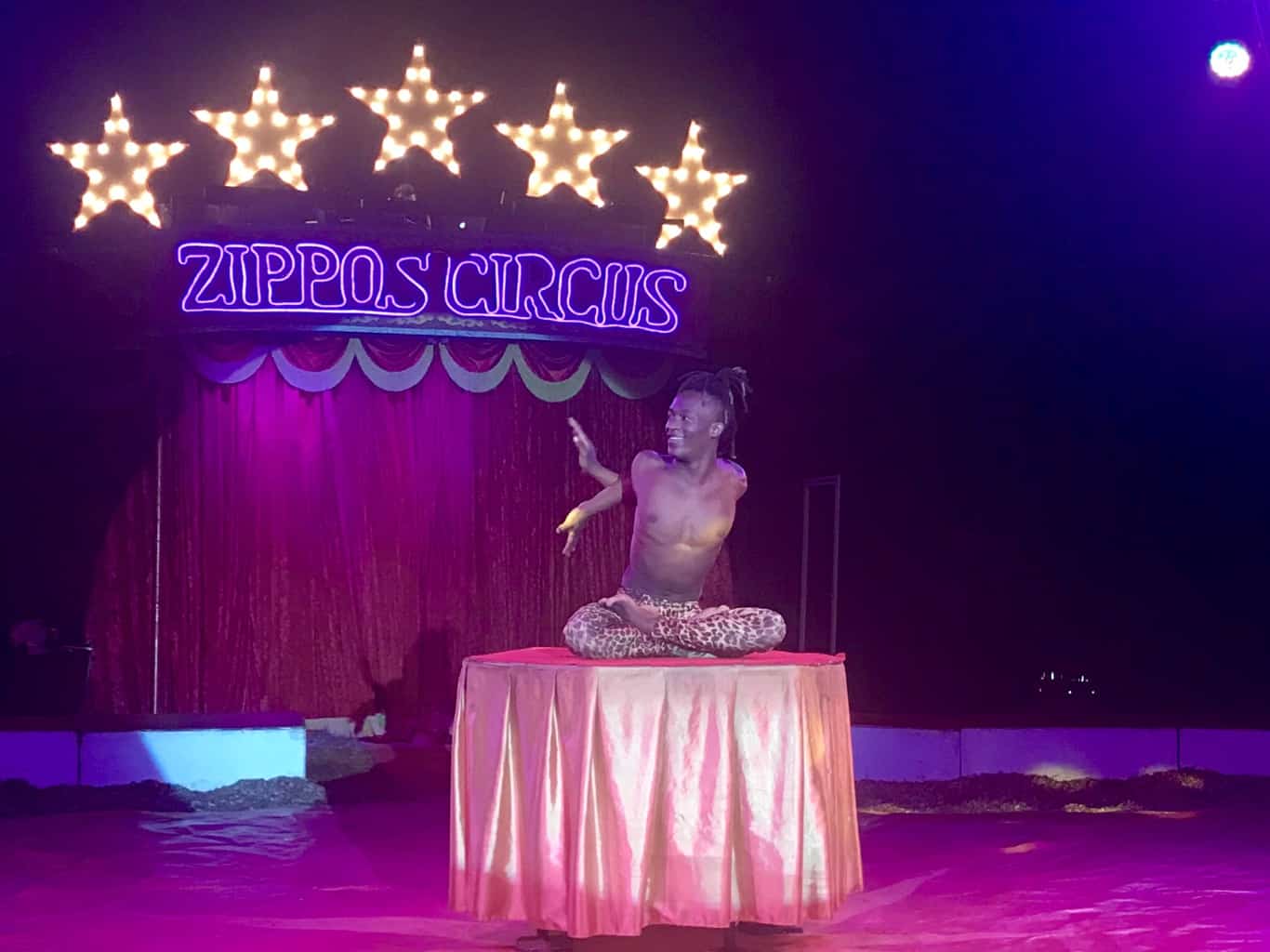 An Afternoon At Zippo's Circus