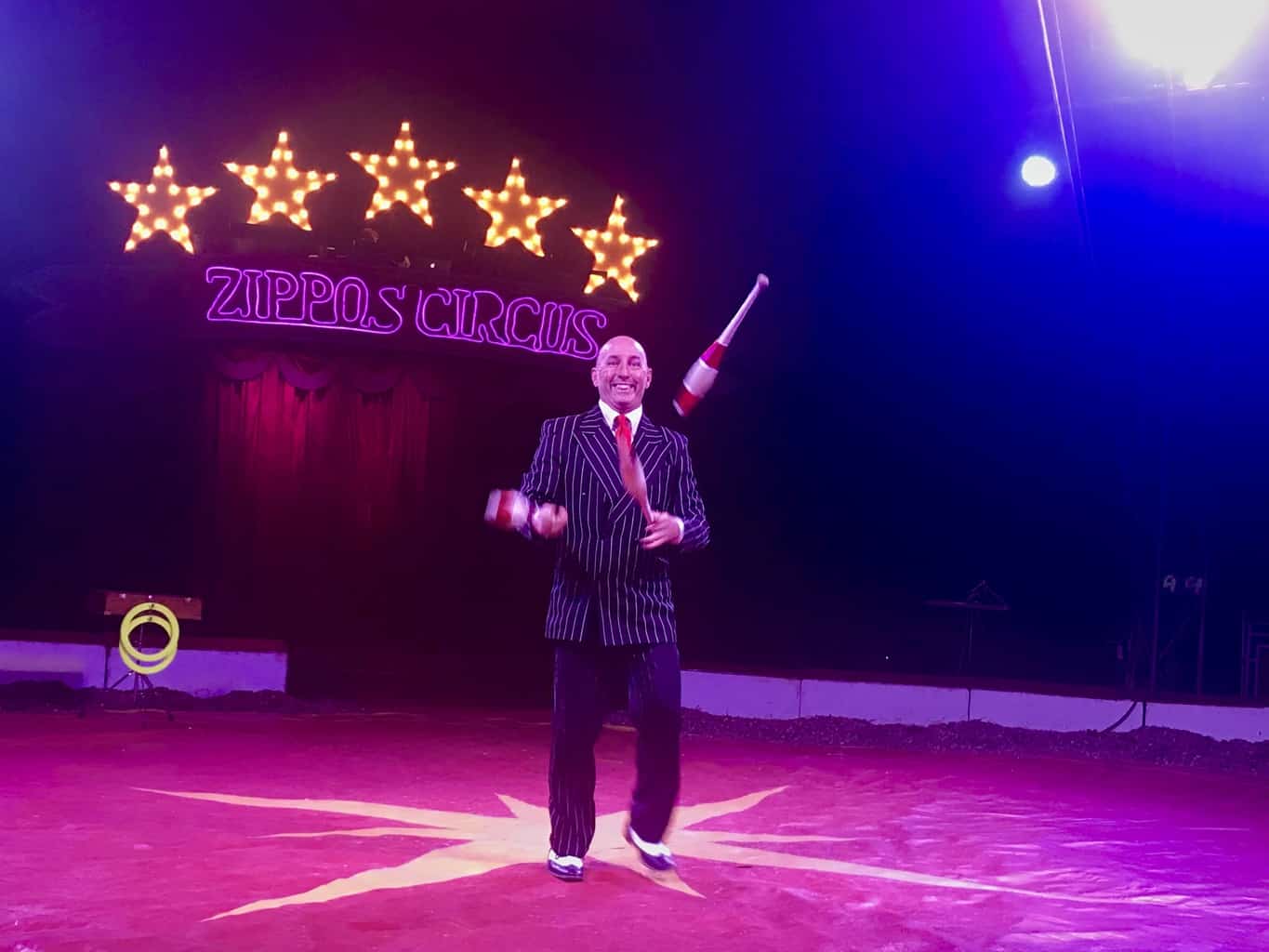 An Afternoon At Zippo's Circus