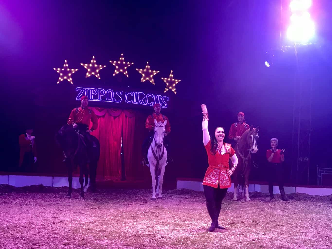 An Afternoon At Zippo's Circus