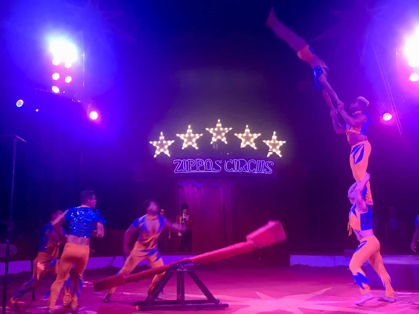 An Afternoon At Zippo's Circus