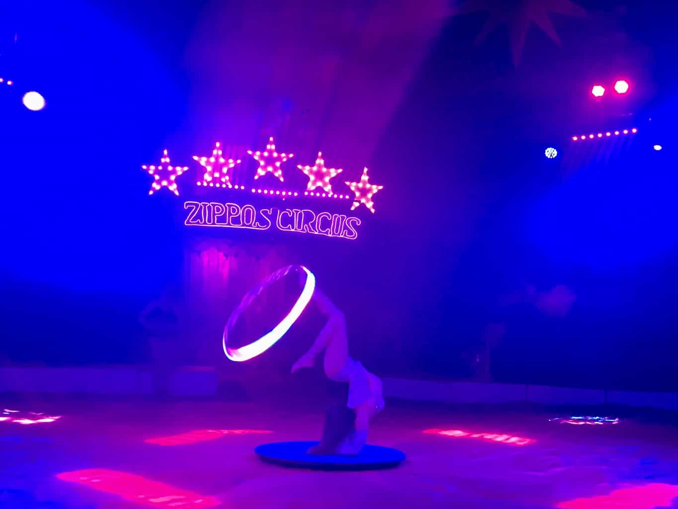 An Afternoon At Zippo's Circus