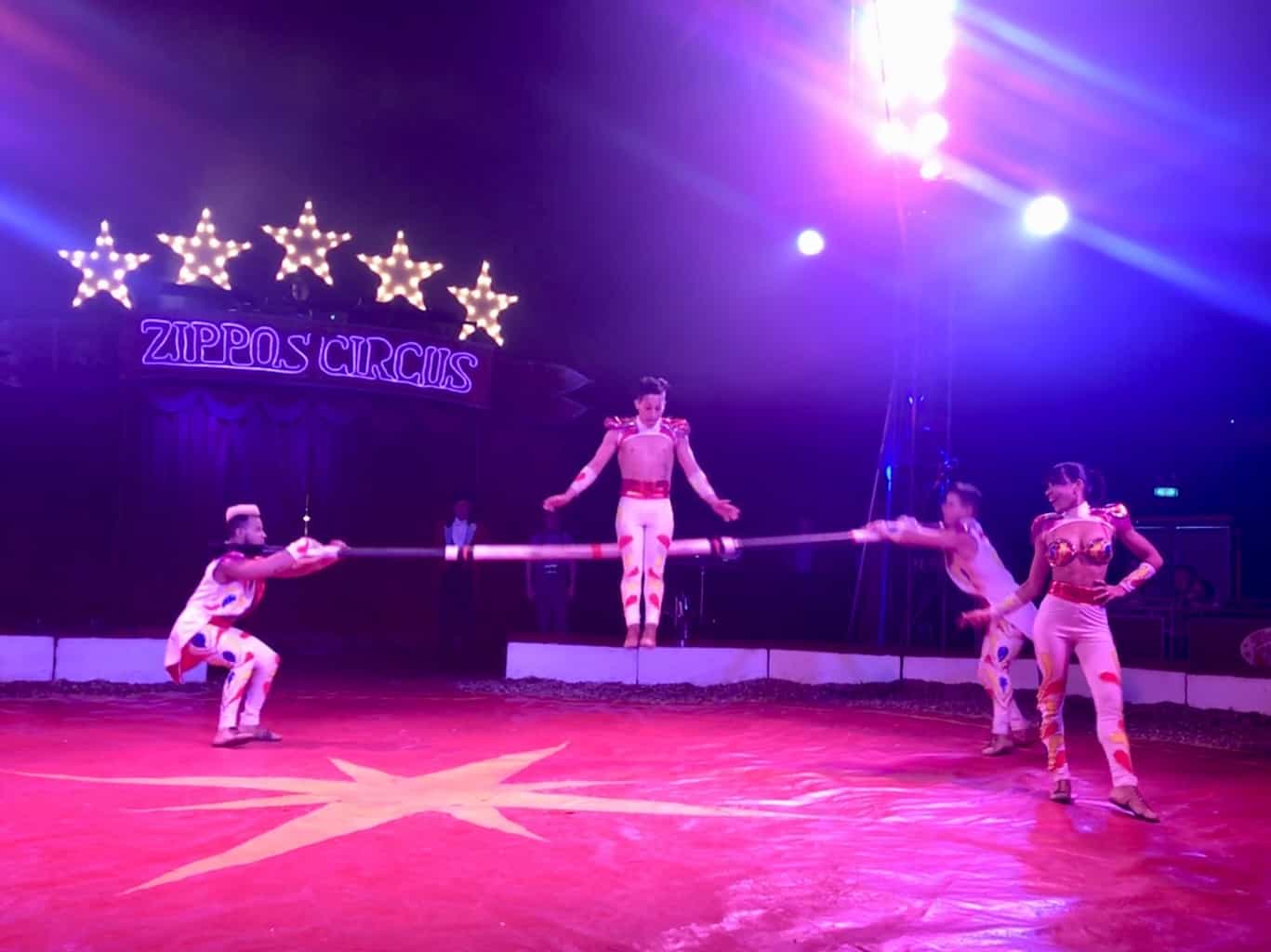 An Afternoon At Zippo's Circus