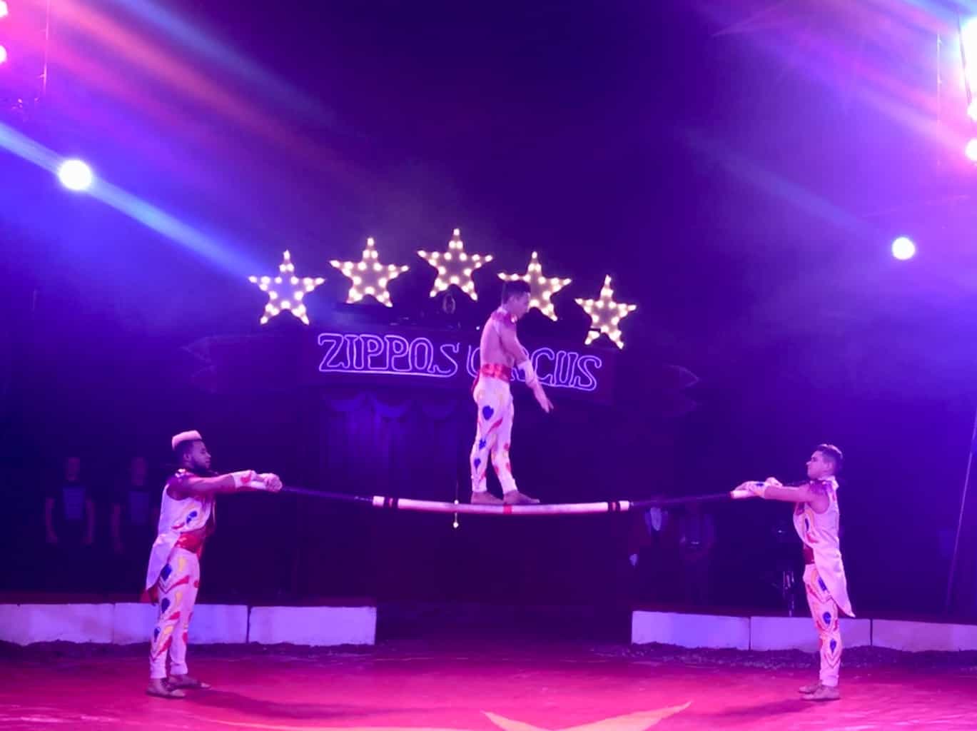 An Afternoon At Zippo's Circus