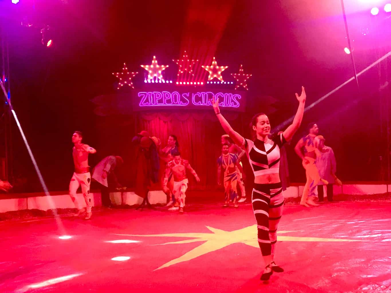 An Afternoon At Zippo's Circus