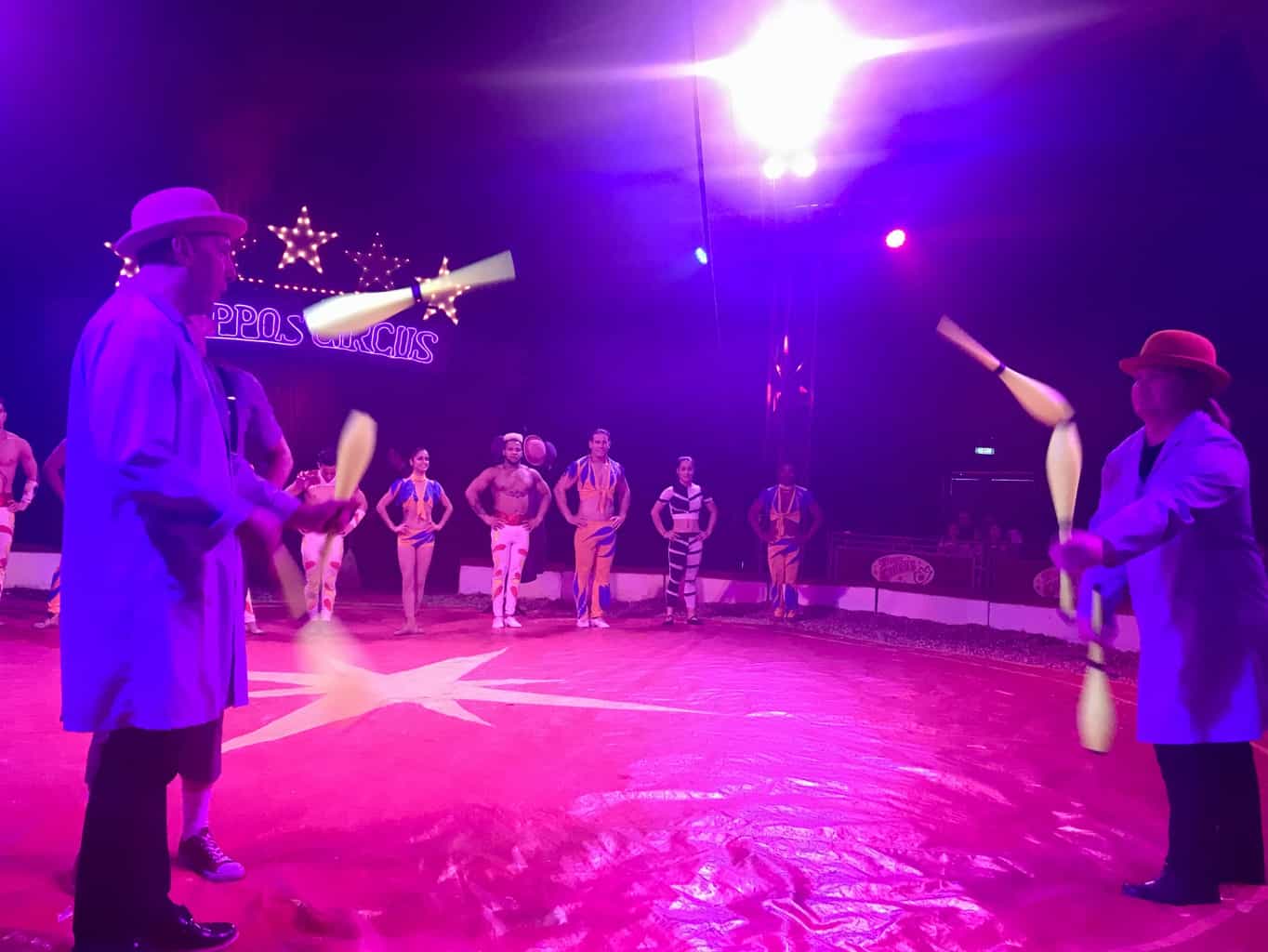 An Afternoon At Zippo's Circus