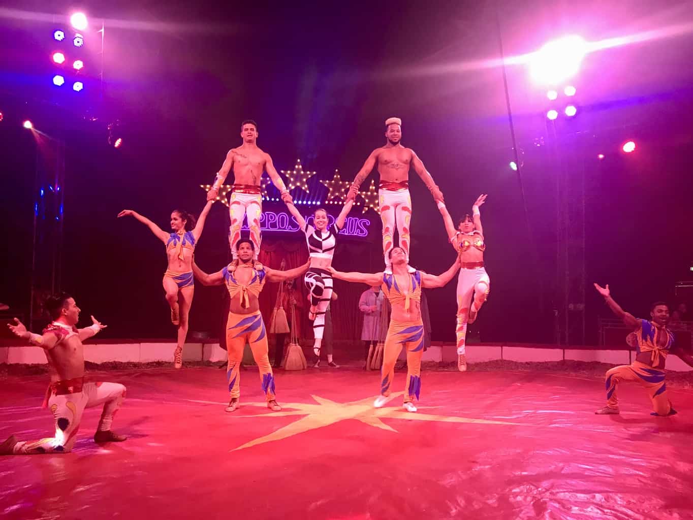 An Afternoon At Zippo's Circus