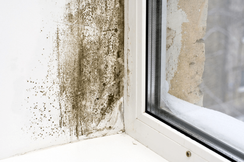 5 Reasons Your Home Might be Damp