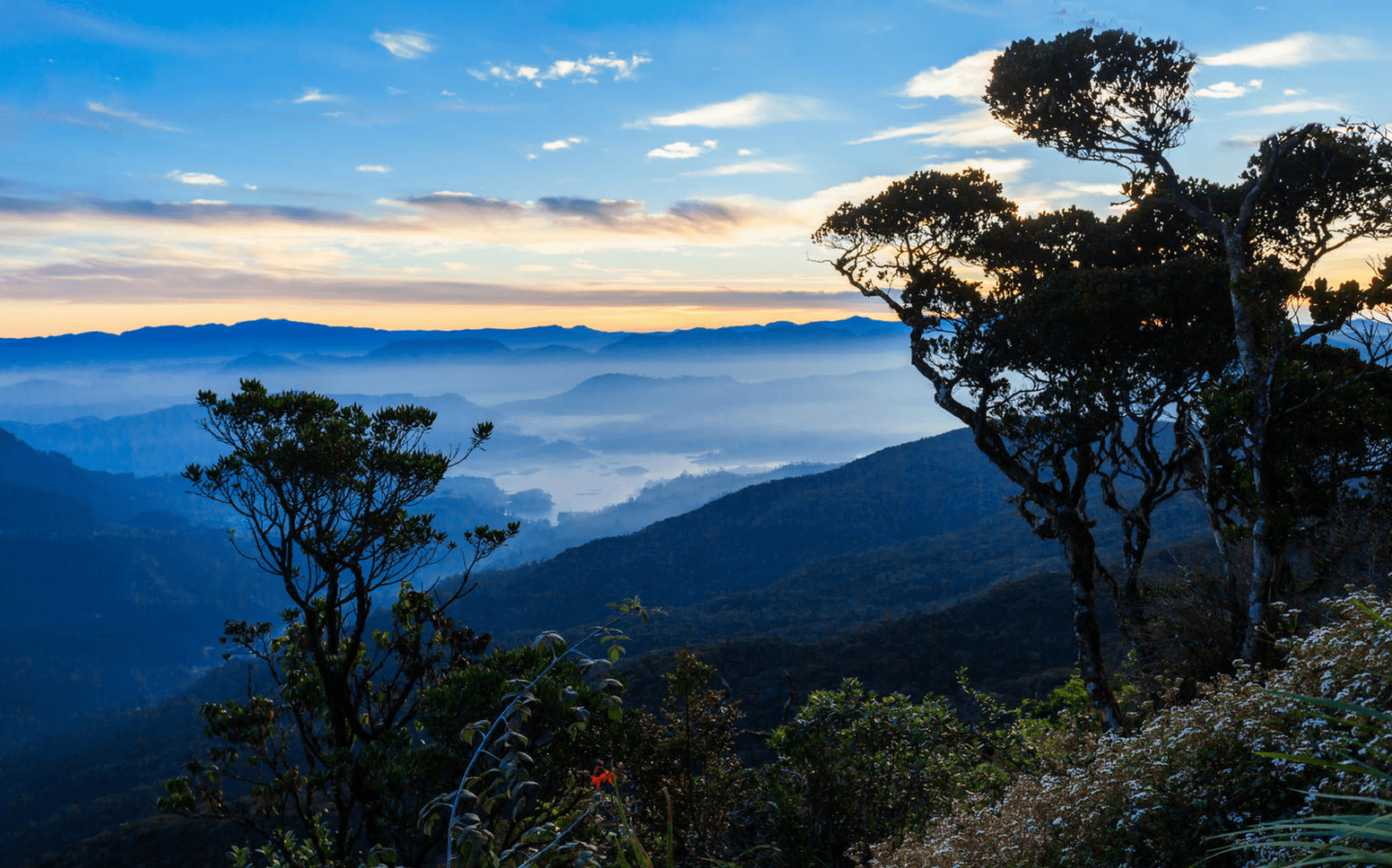Visiting Sri Lanka? Here Are Five of Its Unmissable Highlights