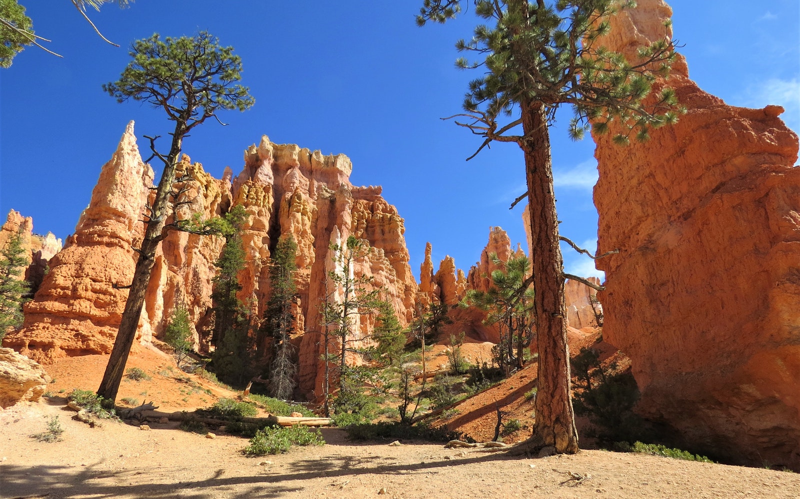The American Dream - A Family Holiday To Utah