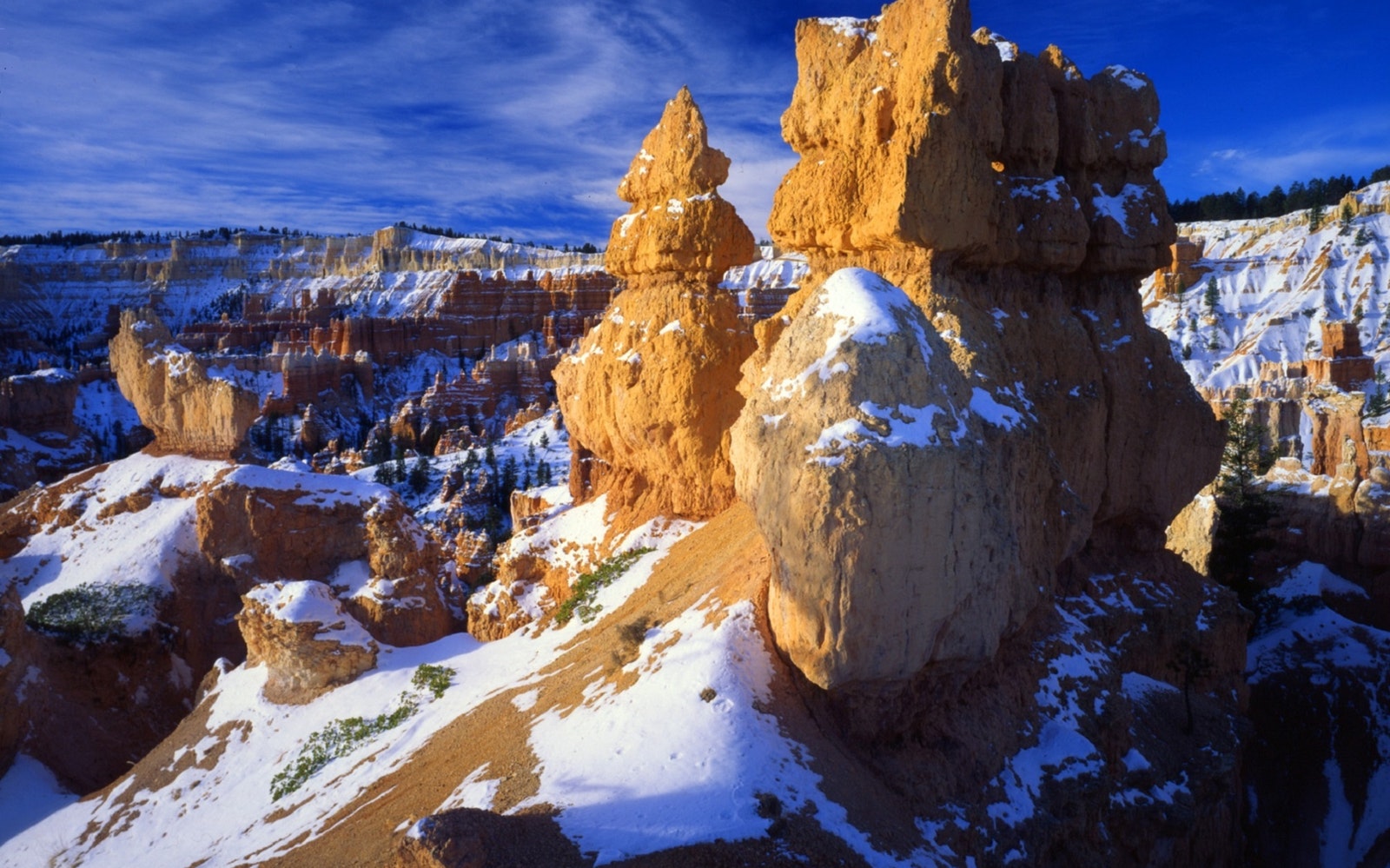 The American Dream - A Family Holiday To Utah
