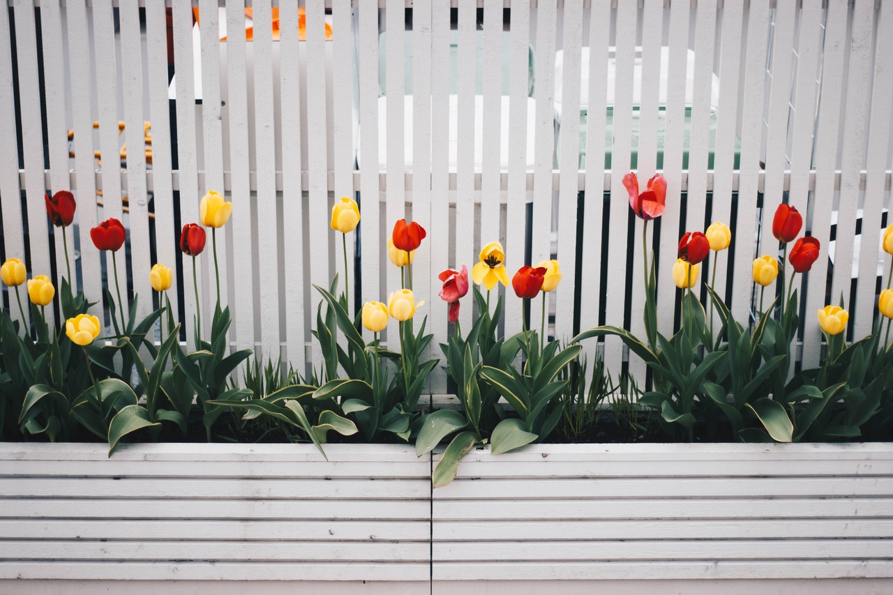 Making a City Garden