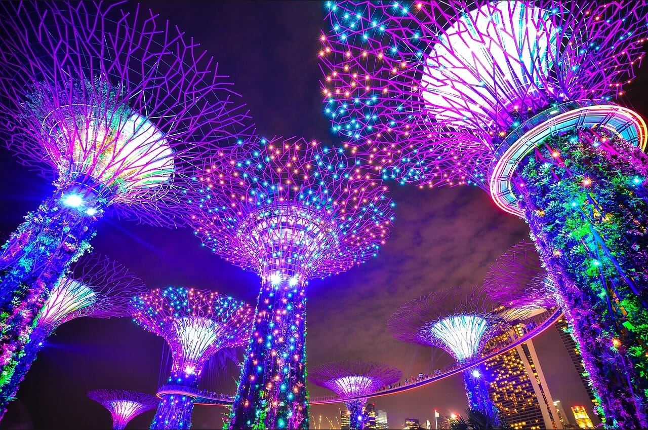 gardens by the bay - singapore image