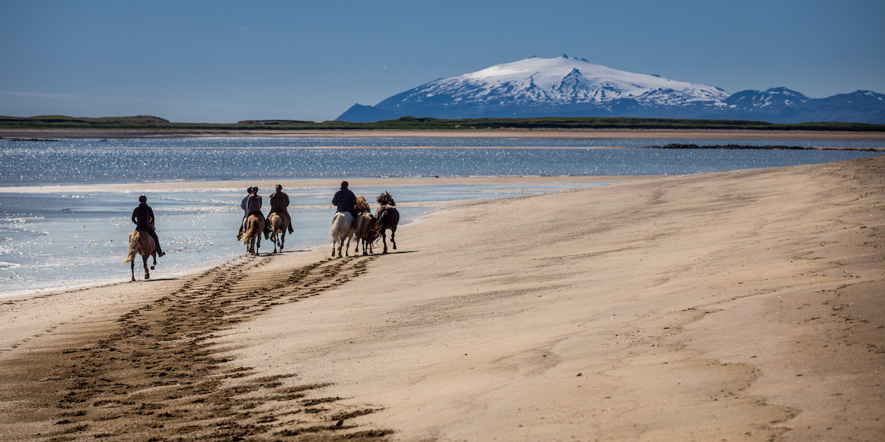 Horse tours Things To Do In Iceland