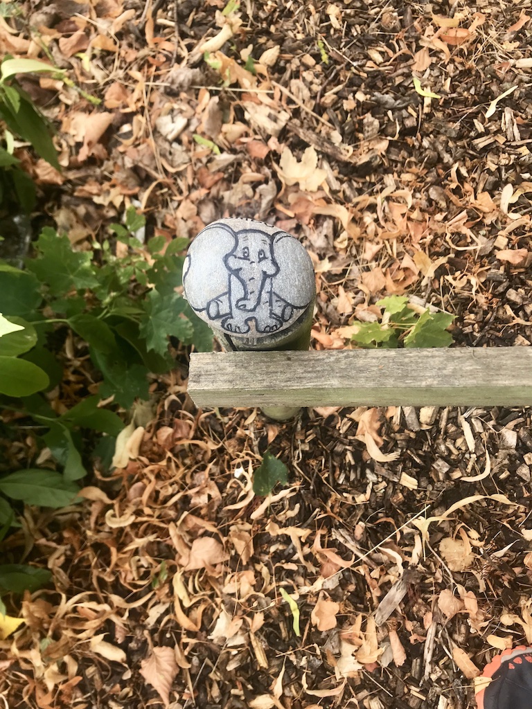 rock hunting and hiding