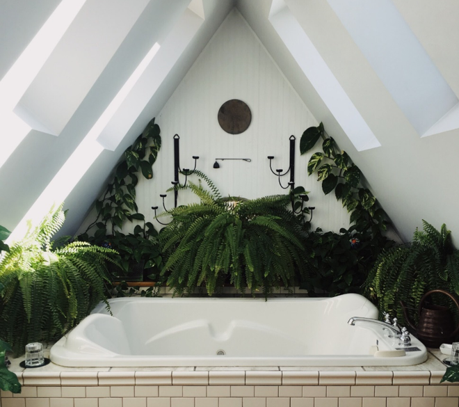 Home Décor Trends