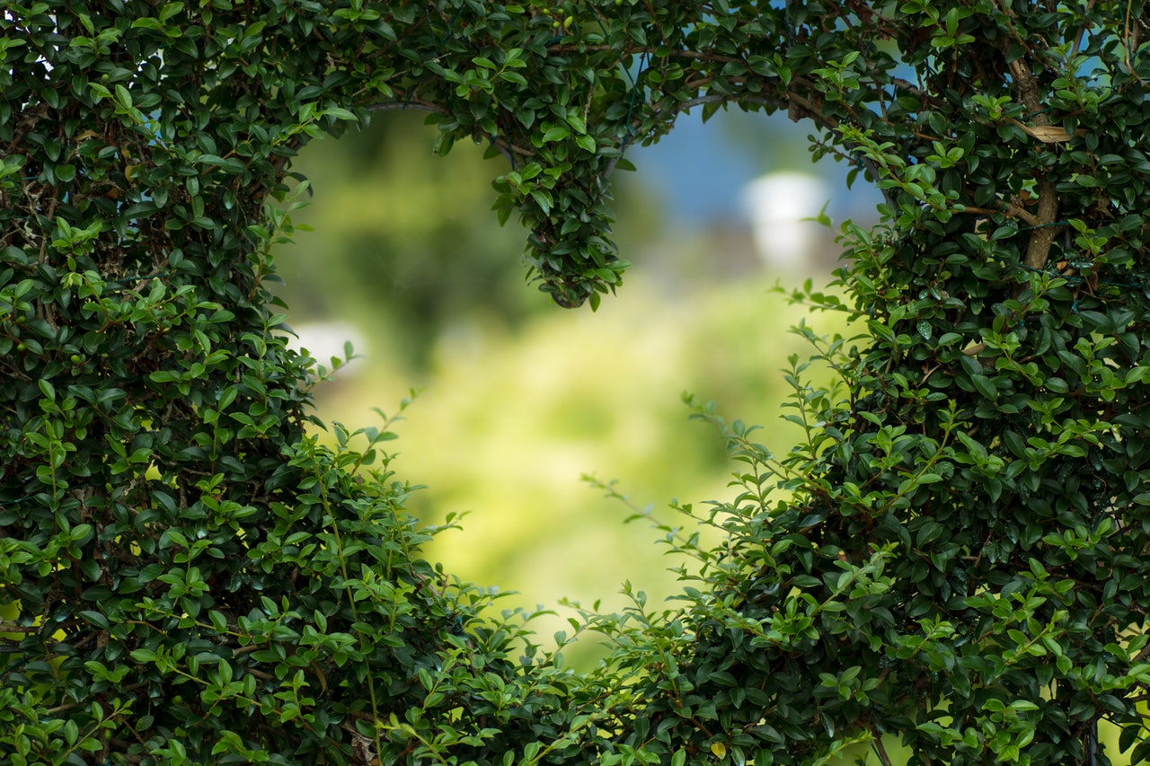 The Environment You Live In