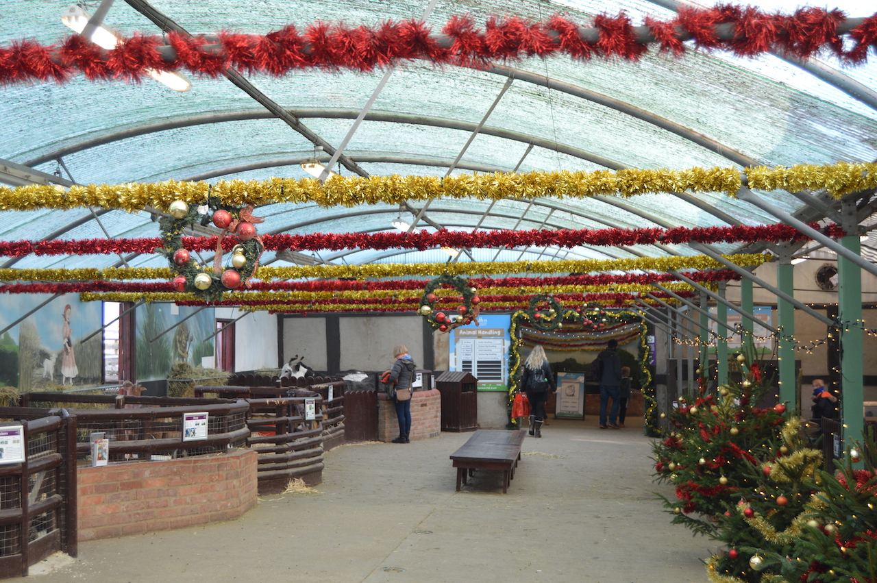 Enchanted Christmas Kingdom