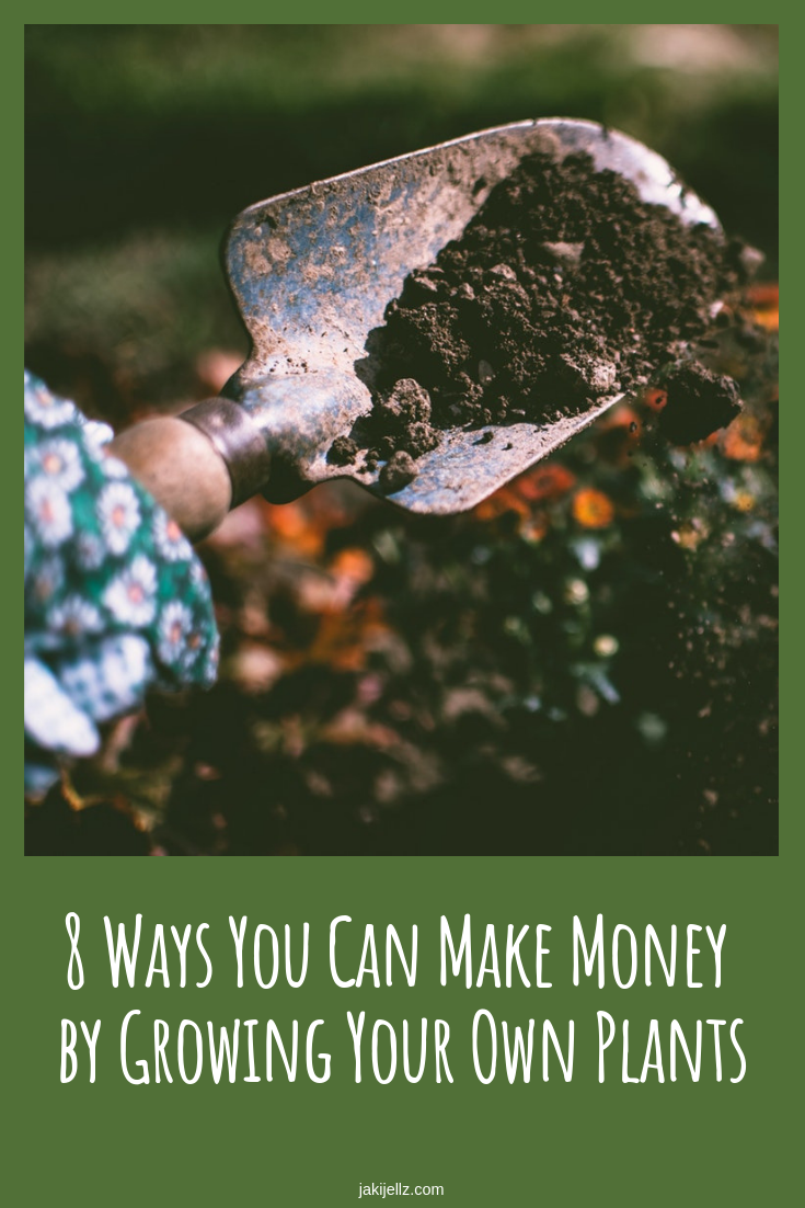From a Side Hustle to a Full-Fledged Business: 8 Ways You Can Make Money by Growing Your Own Plants