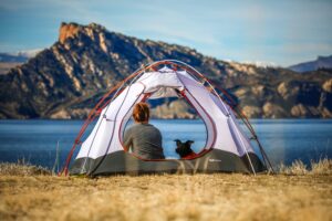 10 Awesome Tips for Camping with Dogs