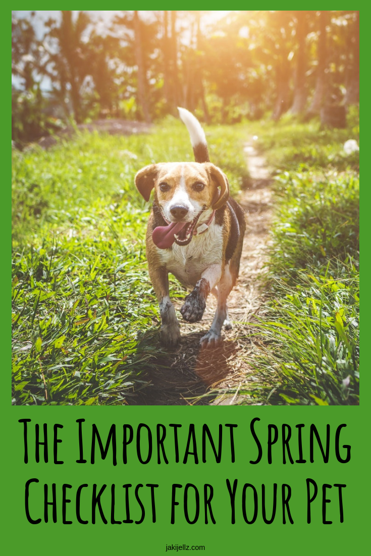 The Important Spring Checklist for Your Pet