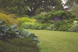 Getting The Garden Ready For Summer