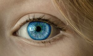 Is Gentak Ointment The Right Treatment For Your Eye Infection
